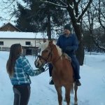 Manni Sucht Freundschaften in Pastetten