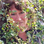 Hildegard Sucht Freundschaften in Bobingen