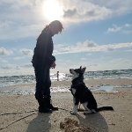 Melanie Sucht Freundschaften in Tønder