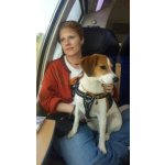 Lilith Sucht Freundschaften in Reinbek