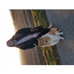 Yvonne Sucht Freundschaften in Meckenheim