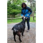 Sandra Sucht Freundschaften in Karlstein am Main