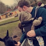 Rino Sucht Freundschaften in Geilenkirchen