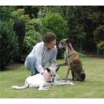 Walter Sucht Freundschaften in Stolberg